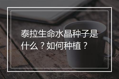泰拉生命水晶种子是什么？如何种植？