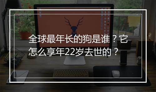 全球最年长的狗是谁？它怎么享年22岁去世的？