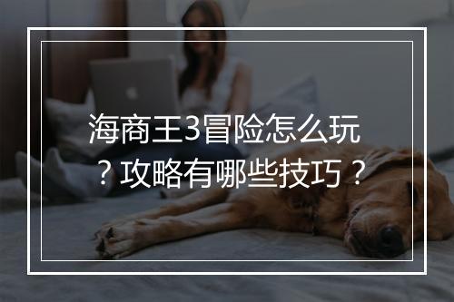 海商王3冒险怎么玩?攻略有哪些技巧?