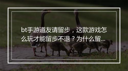 bt手游道友请留步，这款游戏怎么玩才能留步不退？为什么留步？