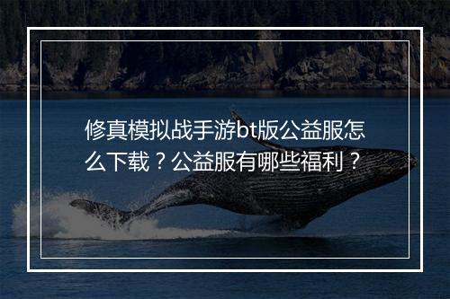 修真模拟战手游bt版公益服怎么下载?公益服有哪些福利?