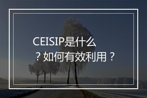 CEISIP是什么？如何有效利用？