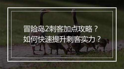 冒险岛2刺客加点攻略？如何快速提升刺客实力？