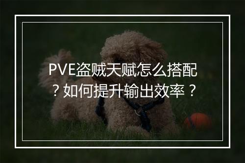 PVE盗贼天赋怎么搭配?如何提升输出效率?