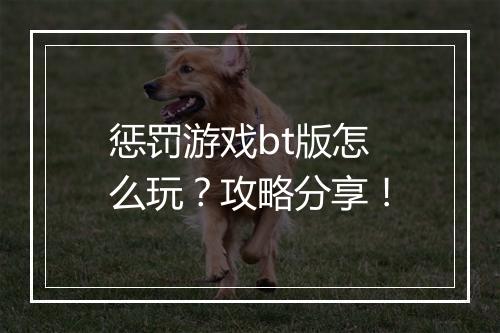 惩罚游戏bt版怎么玩？攻略分享！