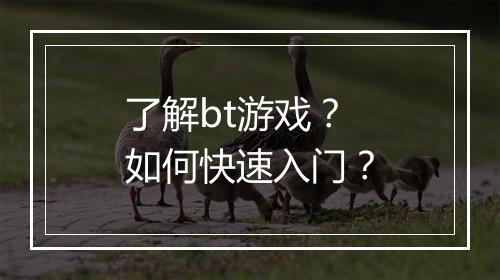 了解bt游戏?如何快速入门?