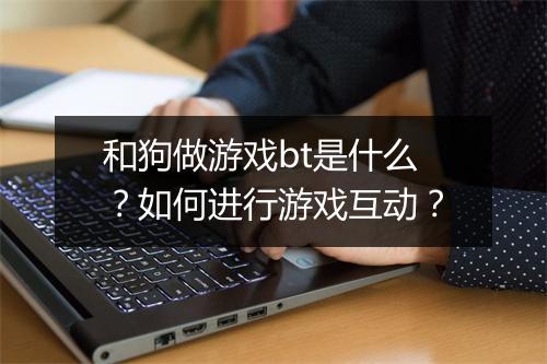 和狗做游戏bt是什么？如何进行游戏互动？