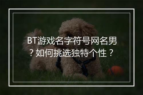 BT游戏名字符号网名男？如何挑选独特个性？