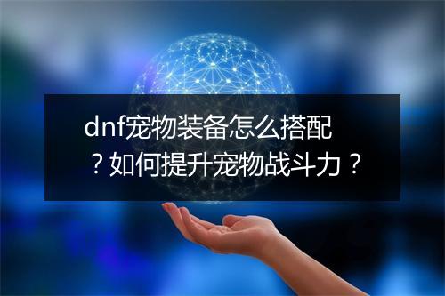 dnf宠物装备怎么搭配？如何提升宠物战斗力？