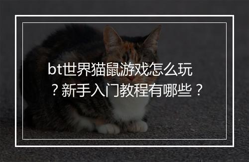 bt世界猫鼠游戏怎么玩？新手入门教程有哪些？