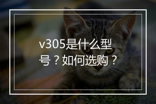 v305是什么型号？如何选购？
