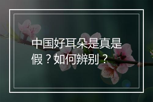 中国好耳朵是真是假?如何辨别?