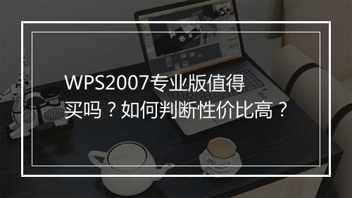 WPS2007专业版值得买吗？如何判断性价比高？