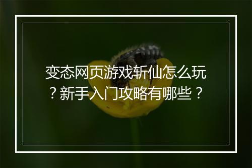 变态网页游戏斩仙怎么玩？新手入门攻略有哪些？
