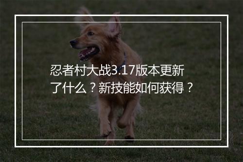 忍者村大战3.17版本更新了什么？新技能如何获得？