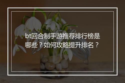 bt回合制手游推荐排行榜是哪些？如何攻略提升排名？