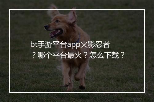bt手游平台app火影忍者？哪个平台最火？怎么下载？