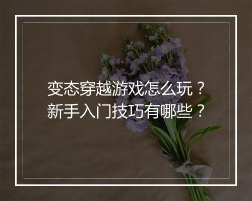 变态穿越游戏怎么玩？新手入门技巧有哪些？