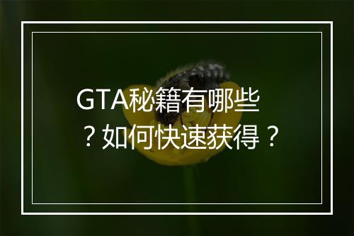 GTA秘籍有哪些？如何快速获得？