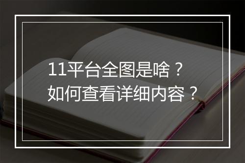 11平台全图是啥？如何查看详细内容？