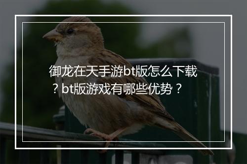 御龙在天手游bt版怎么下载？bt版游戏有哪些优势？
