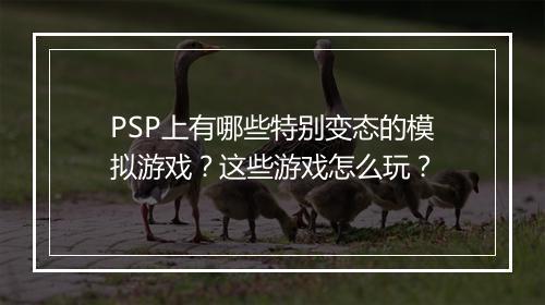 PSP上有哪些特别变态的模拟游戏？这些游戏怎么玩？