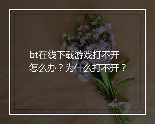bt在线下载游戏打不开怎么办？为什么打不开？