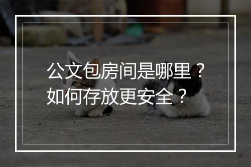 公文包房间是哪里？如何存放更安全？