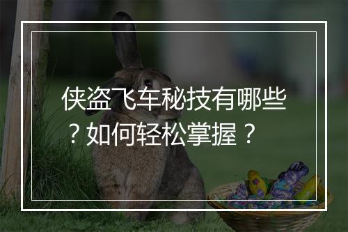 侠盗飞车秘技有哪些?如何轻松掌握?