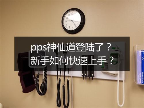 pps神仙道登陆了？新手如何快速上手？
