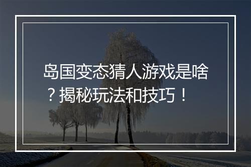 岛国变态猜人游戏是啥？揭秘玩法和技巧！