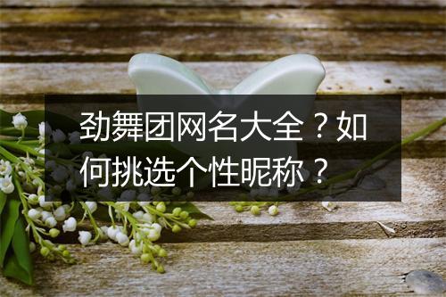劲舞团网名大全?如何挑选个性昵称?