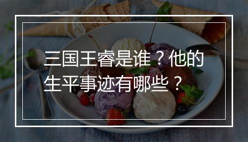 三国王睿是谁?他的生平事迹有哪些?