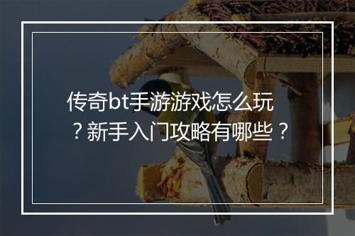 传奇bt手游游戏怎么玩？新手入门攻略有哪些？