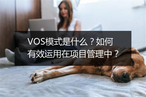 VOS模式是什么？如何有效运用在项目管理中？