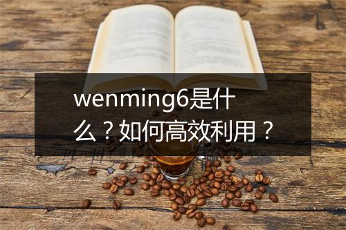wenming6是什么？如何高效利用？