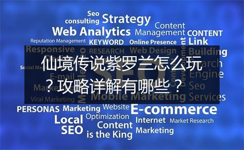 仙境传说紫罗兰怎么玩？攻略详解有哪些？