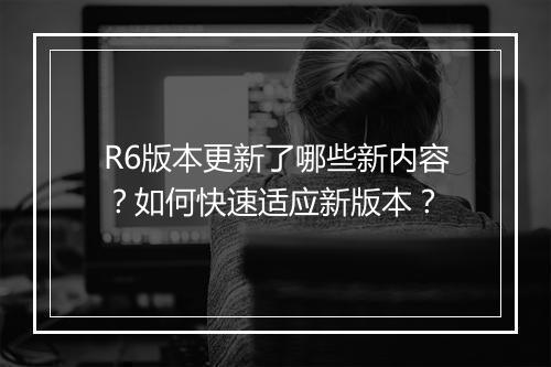 R6版本更新了哪些新内容？如何快速适应新版本？