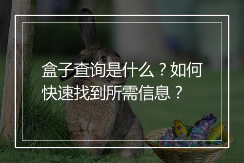 盒子查询是什么？如何快速找到所需信息？