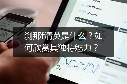 刹那f清英是什么？如何欣赏其独特魅力？