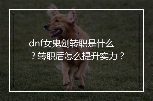 dnf女鬼剑转职是什么？转职后怎么提升实力？