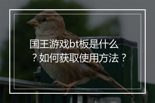国王游戏bt板是什么?如何获取使用方法?
