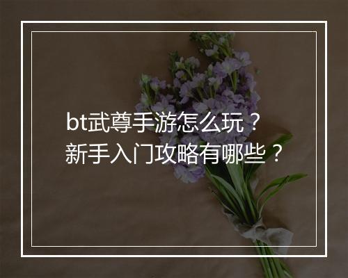 bt武尊手游怎么玩?新手入门攻略有哪些?