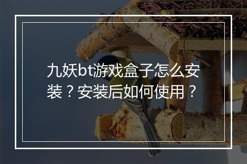 九妖bt游戏盒子怎么安装？安装后如何使用？