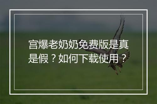 宫爆老奶奶免费版是真是假?如何下载使用?