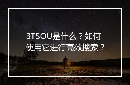 BTSOU是什么？如何使用它进行高效搜索？