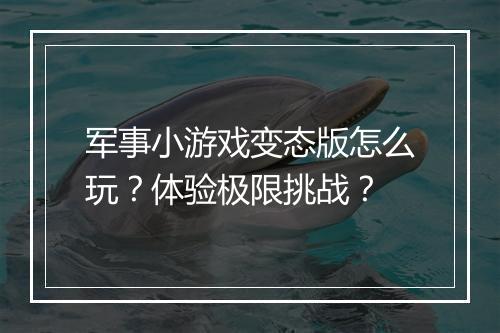 军事小游戏变态版怎么玩？体验极限挑战？
