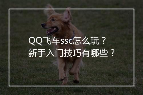 QQ飞车ssc怎么玩？新手入门技巧有哪些？