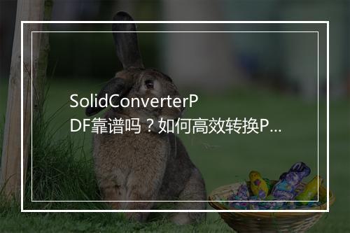 SolidConverterPDF靠谱吗？如何高效转换PDF？