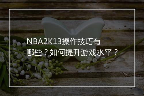 NBA2K13操作技巧有哪些？如何提升游戏水平？